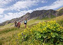 From the First mountain station, the trail first leads slightly downhill and then climbs up to Chrinnenboden, passing an upland moor. (bei Klick vergrösserte Ansicht Bild)