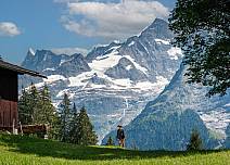At the end, hikers are rewarded with a magnificent view of the Finsteraarhorn and Fiescherhorn. (bei Klick vergrösserte Ansicht Bild)