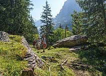 Short sections of forest offer a cooling contrast to the summer heat. (bei Klick vergrösserte Ansicht Bild)