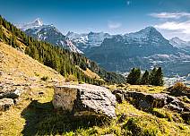 Flaming red blueberry bushes line the ascent and contrast with the white of the proud 4,000 metre peaks. (bei Klick vergrösserte Ansicht Bild)