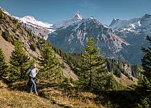 In the background Schreckhorn, next to the path the last fir trees close to the tree line before the ascent to almost 2,200 metres. (bei Klick vergrösserte Ansicht Bild)