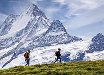 Standarddatei (bei Klick vergrösserte Ansicht Bild)